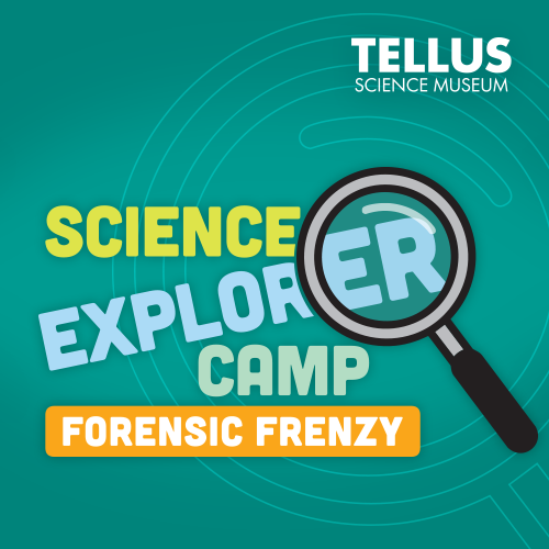 Summer Camp at Tellus Science Museum