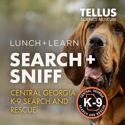Search and Sniff Lunch and Learn at Tellus Science Museum